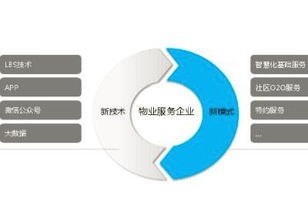 重慶網站建設新風向 引序科技如何以專業網絡科技服務賦能本地企業
