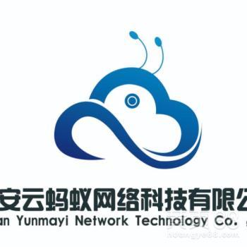 網(wǎng)絡(luò)科技服務(wù)在軟件開發(fā)領(lǐng)域的創(chuàng)新應(yīng)用——以財(cái)務(wù)軟件為例